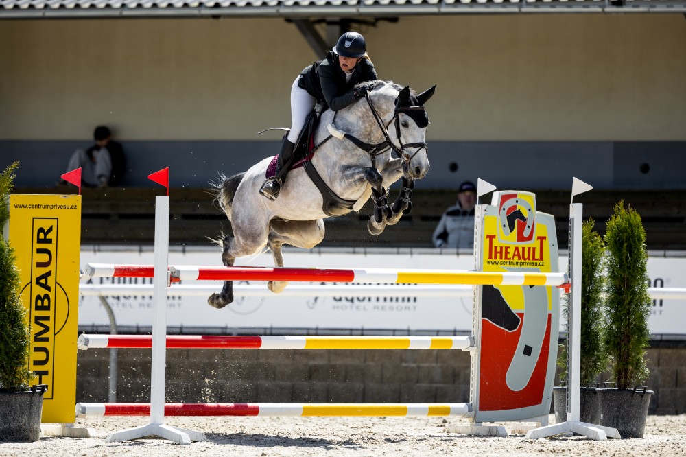 Nabídka výcviku koní a trénování jezdců