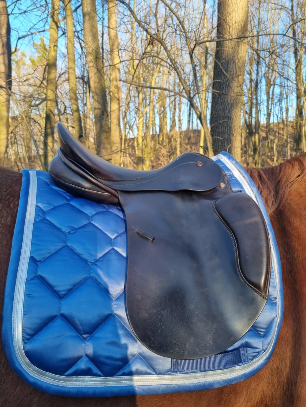 Drezurní sedlo Prestige Top Dressage (17/33)