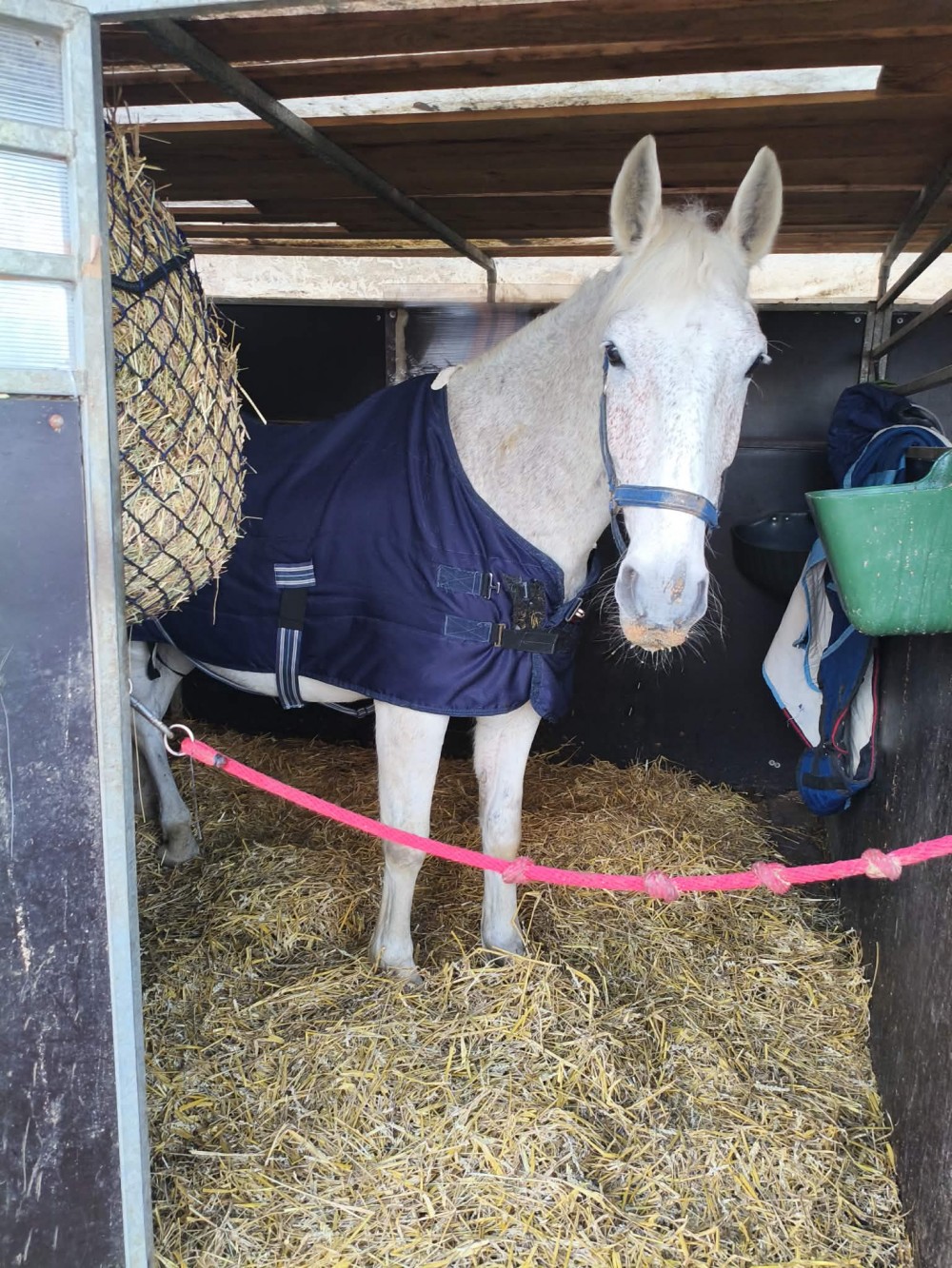 Jízda na koni Praha 7