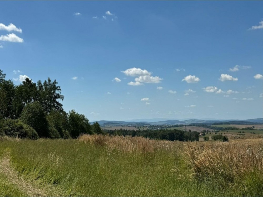 Nádherný stavební pozemek v Brdech 38 880 m². Platné stavební povolení na usedlost pro chov koní. 