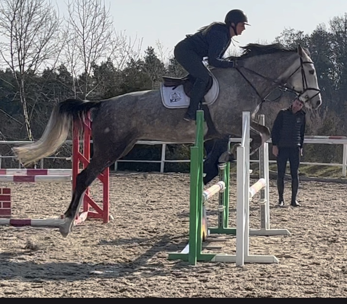 Pětiletá amatérská kobylka