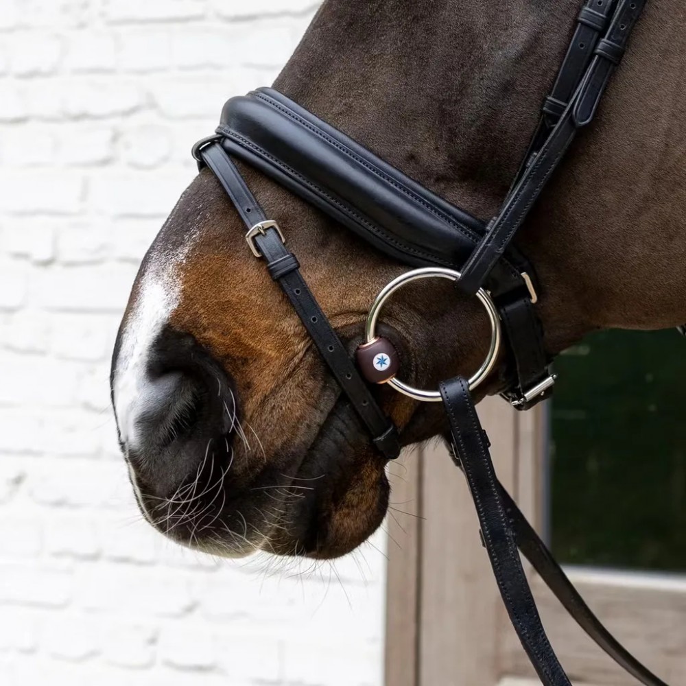 Equiservis.cz nabízí: udidla Velari - nová značka v nabídce!