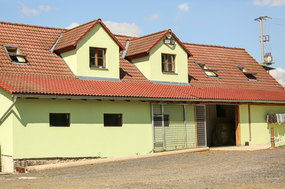 Nabízíme volná místa od 1.4. V malé sportovní stáji ve vesničce jménem Krsice