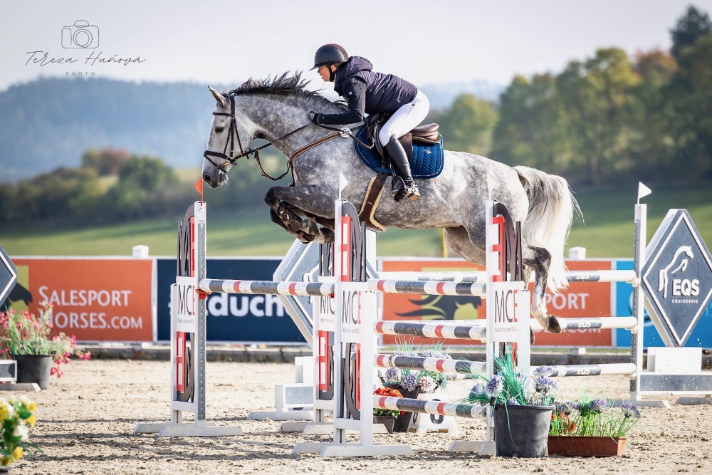 Ošetřovatelka(pracovní jezdec)