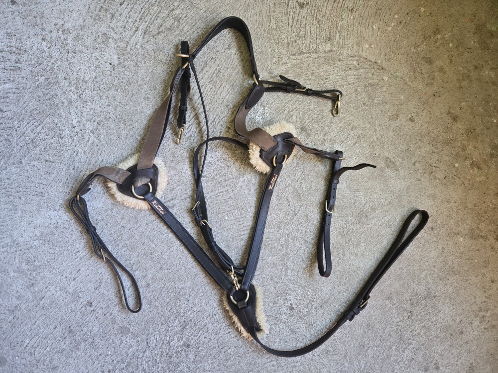 Poprsák Kentaur, výběhové deky, sada Eskadron