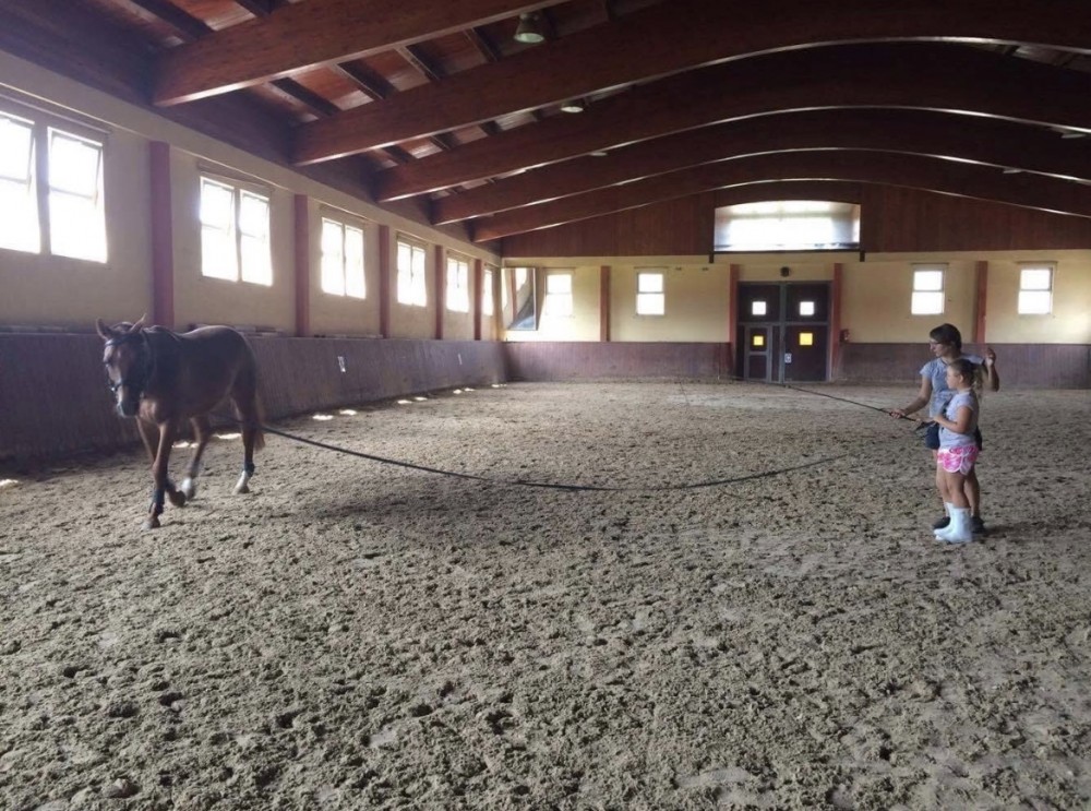 Ustájení koní v blízkosti Prahy.