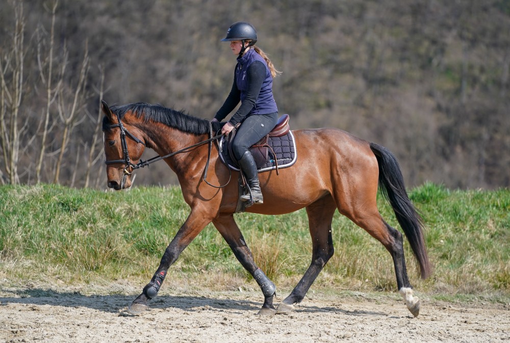 Valach na hobby, nižší sport