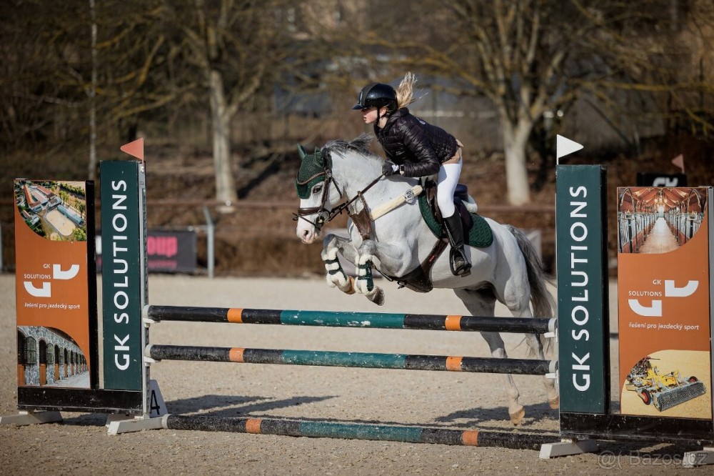 Nádherný pony Valach