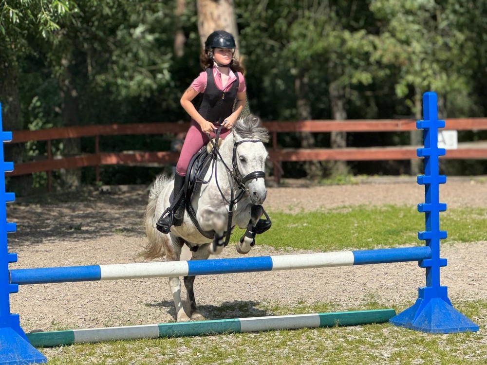 Sportovní pony - Valach