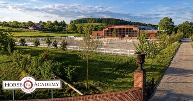 Horse Academy - Privátní stáj v novém kabátu