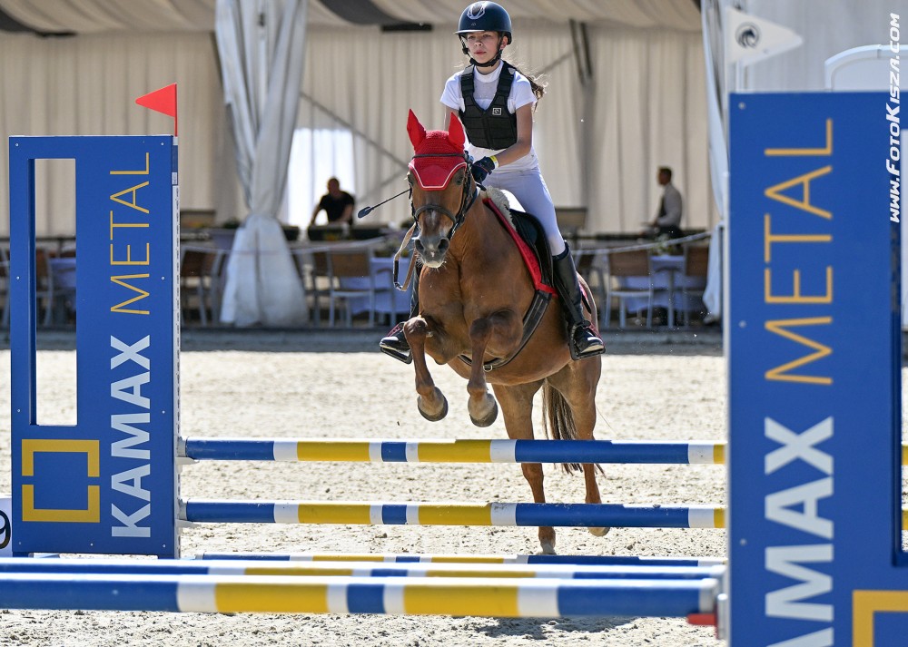 Pony klisna KVH 134 cm