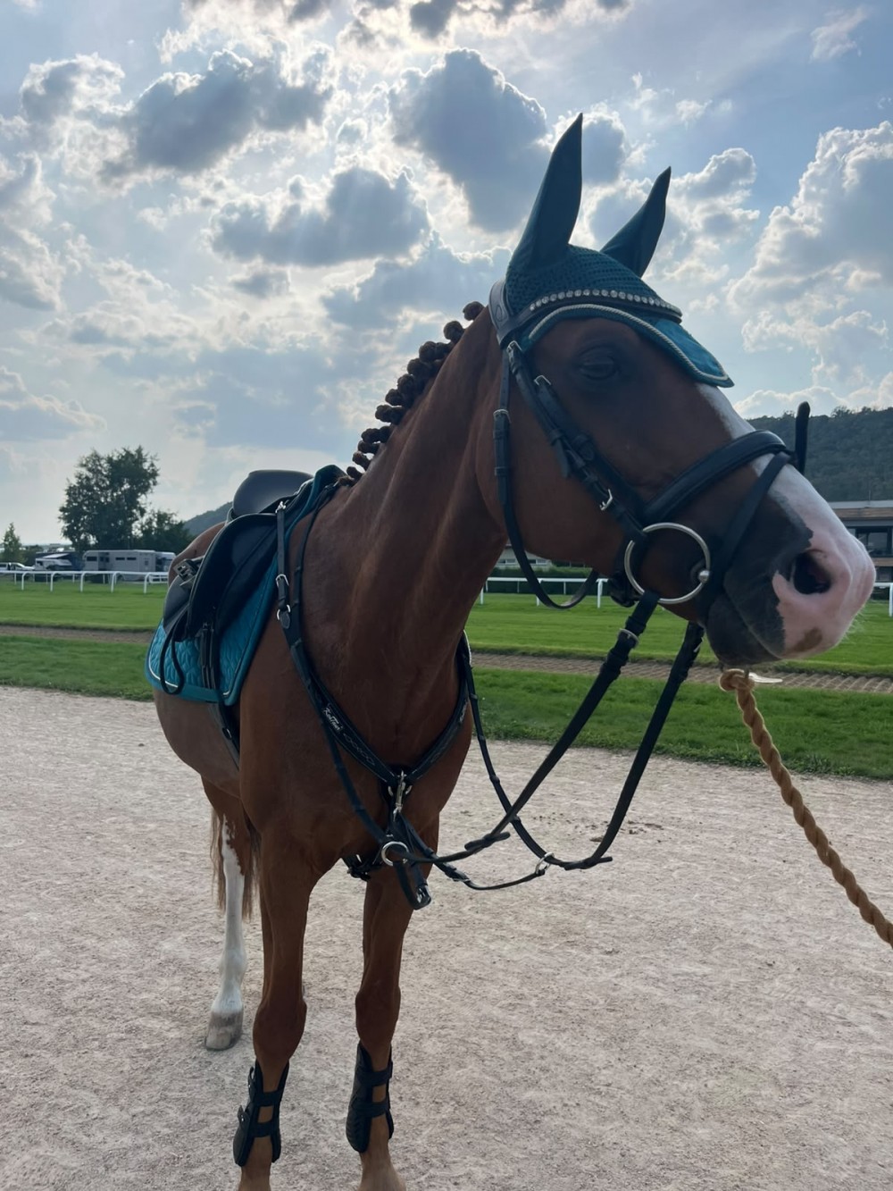 Pony B na prodej