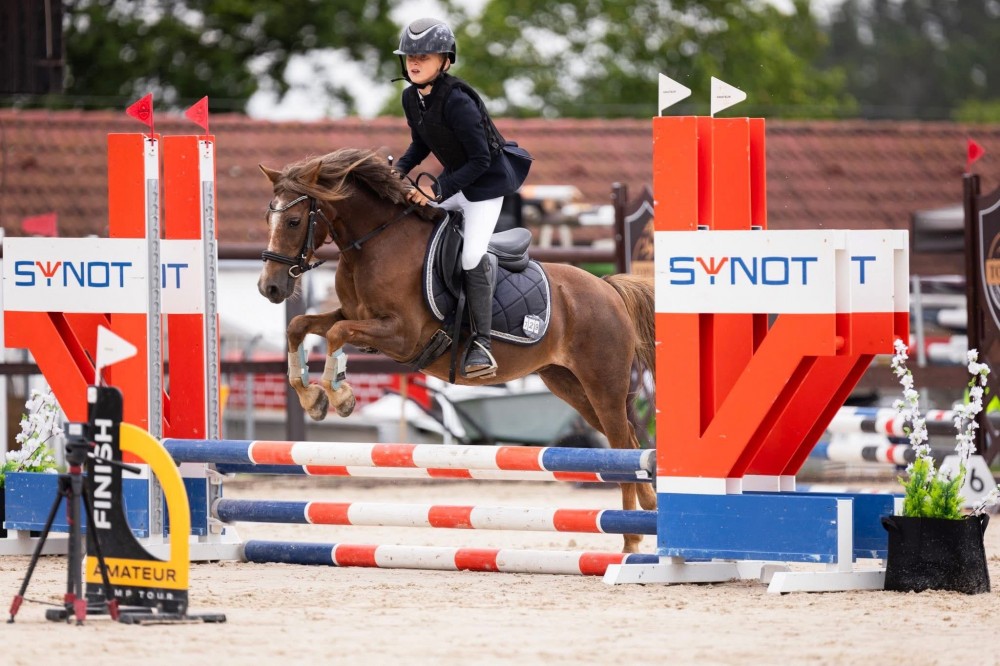 Pony S kobylka do sportu