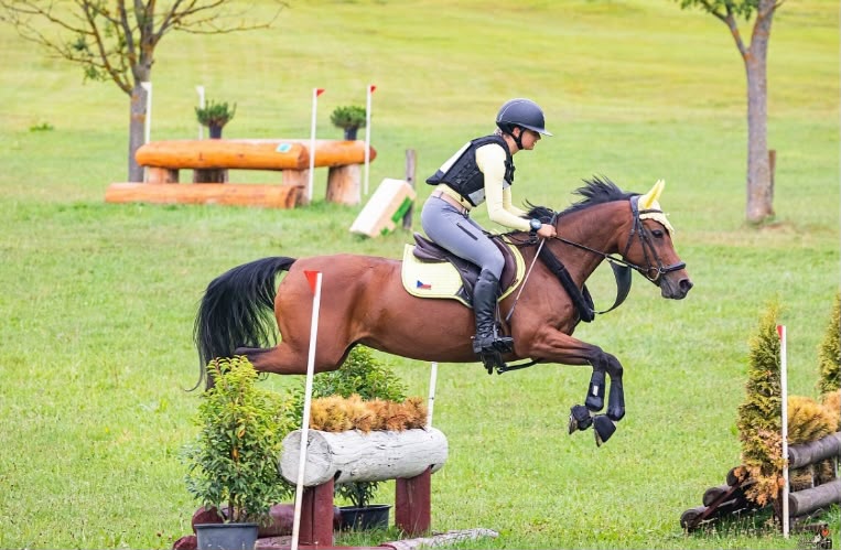 TOP Pony kat. B