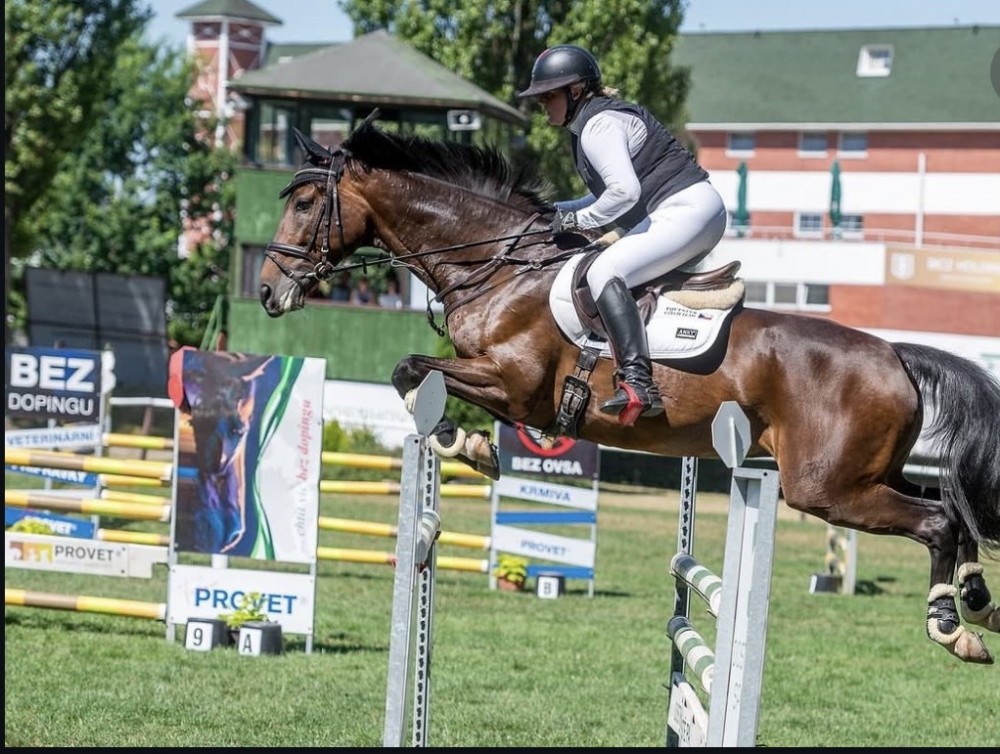Zkušená sportovní klisna s výkonností CCI2*